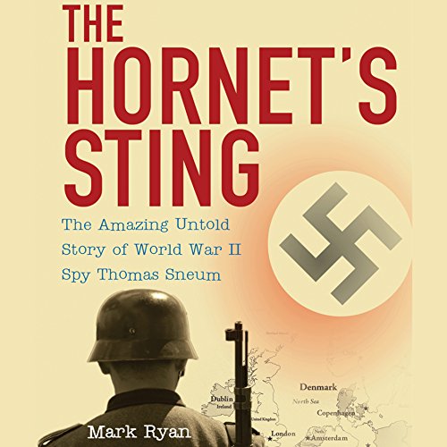 Cover of The Hornet’s Sting