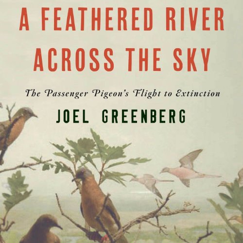 Cover of A Feathered River Across the Sky