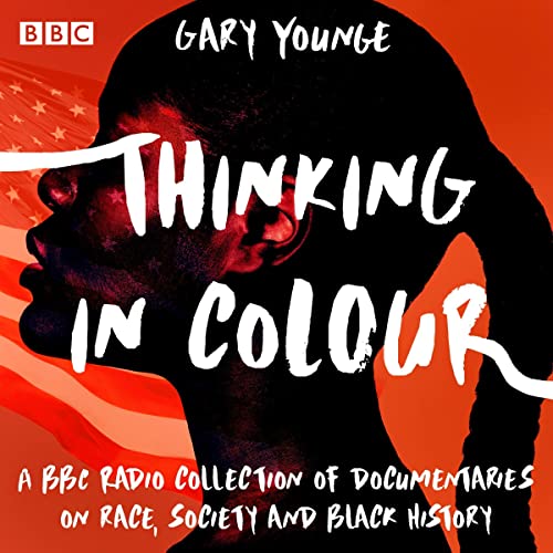 Cover of Thinking in Colour