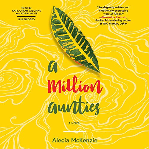 Cover of A Million Aunties