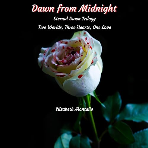 Cover of Dawn from Midnight