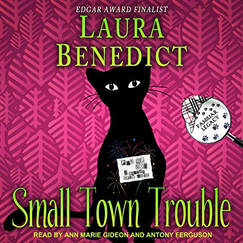 Cover of Small Town Trouble