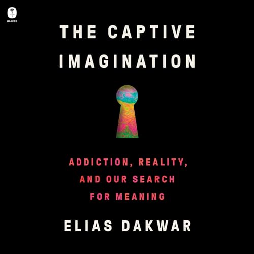 Cover of The Captive Imagination