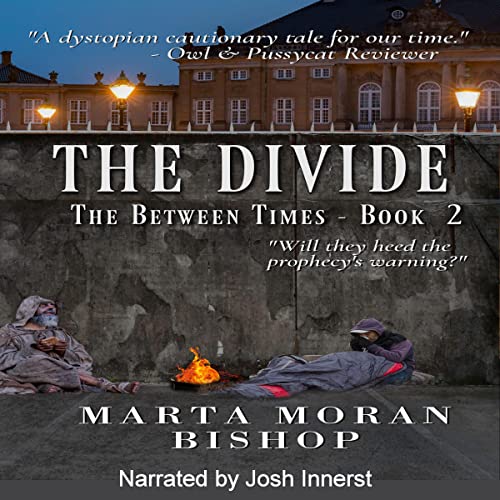Cover of The Between Times: The Divide