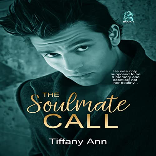 Cover of The Soulmate Call