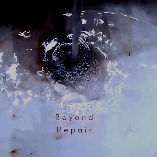 Cover of Beyond Repair