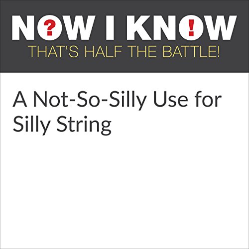 Cover of A Not-So-Silly Use for Silly String