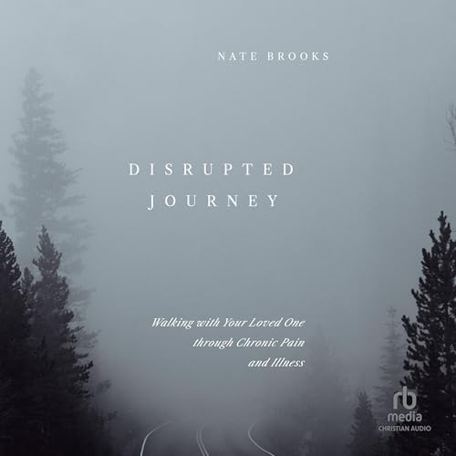 Cover of Disrupted Journey