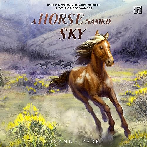 Cover of A Horse Named Sky