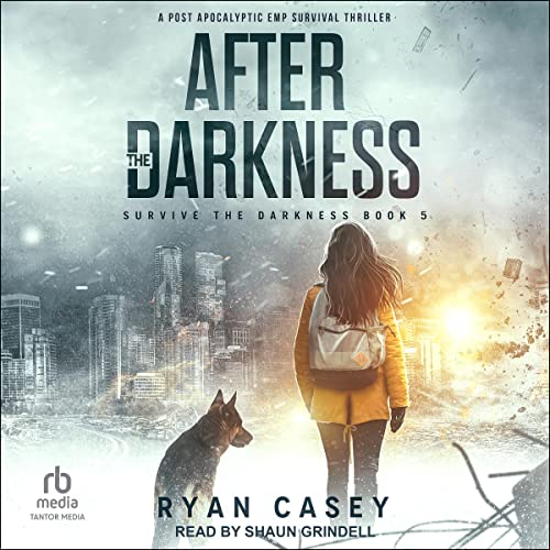 Cover of After the Darkness