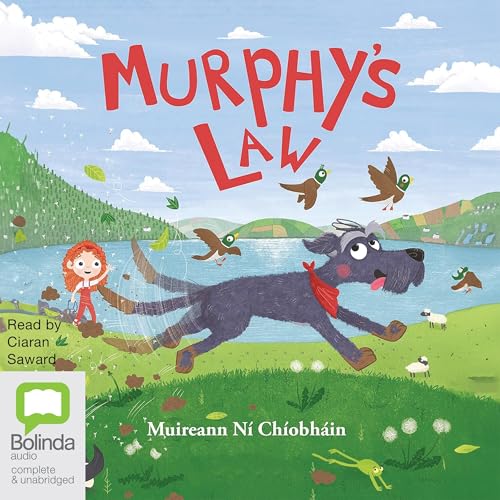 Cover of Murphy's Law