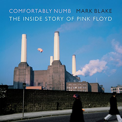 Cover of Comfortably Numb
