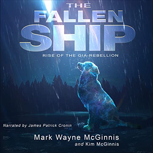 Cover of The Fallen Ship