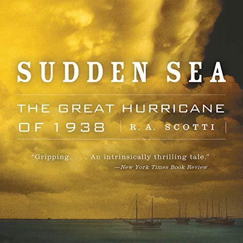 Cover of Sudden Sea
