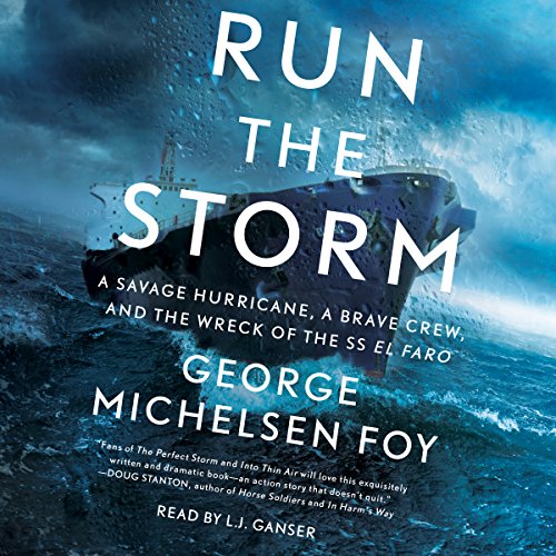 Cover of Run the Storm