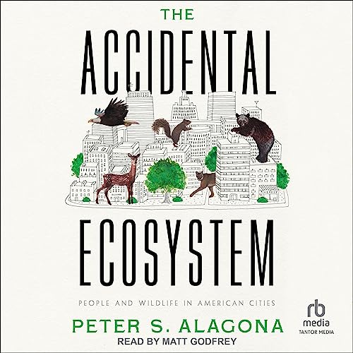 Cover of The Accidental Ecosystem