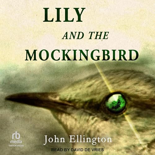 Cover of Lily and the Mockingbird