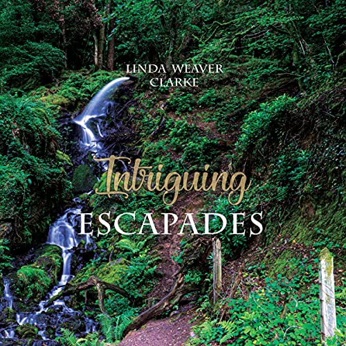 Cover of Intriguing Escapades