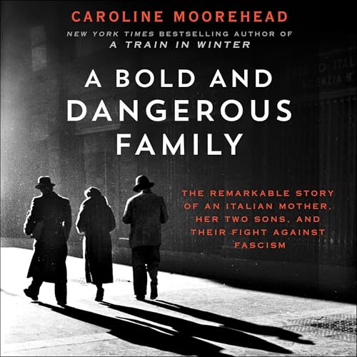 Cover of A Bold and Dangerous Family