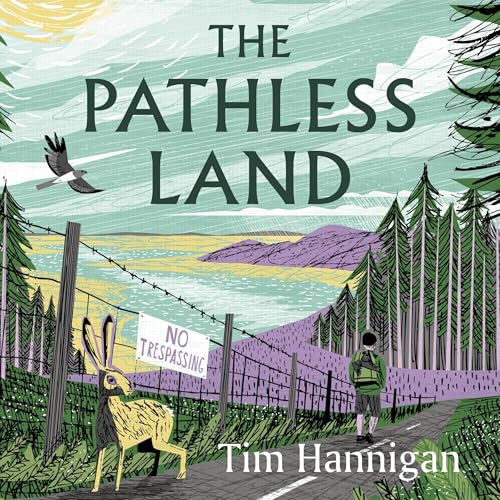 Cover of The Pathless Land