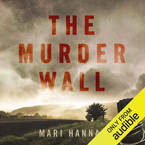 Cover of The Murder Wall