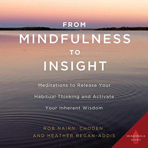 Cover of From Mindfulness to Insight