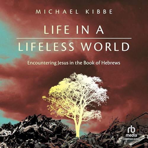 Cover of Life in a Lifeless World