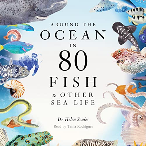Cover of Around the Ocean in 80 Fish and other Sea Life