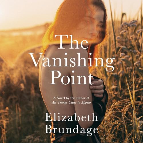 Cover of The Vanishing Point