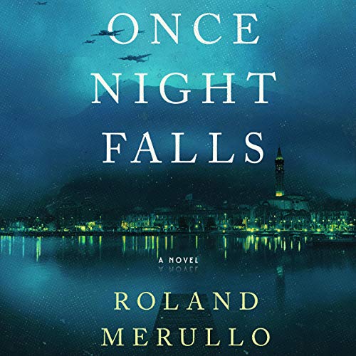 Cover of Once Night Falls