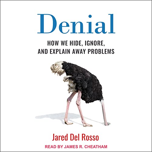 Cover of Denial
