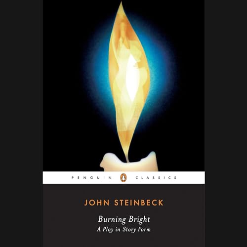 Cover of Burning Bright