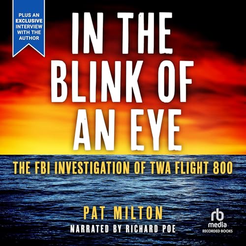 Cover of In the Blink of an Eye