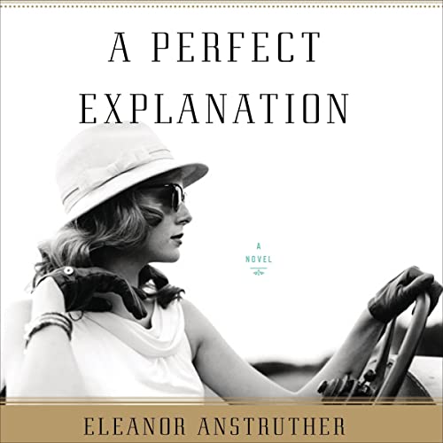 Cover of A Perfect Explanation