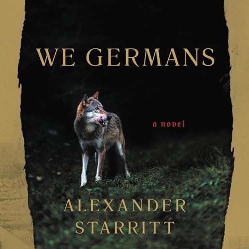 Cover of We Germans
