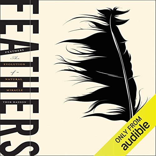 Cover of Feathers