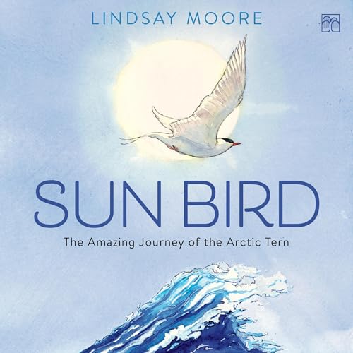 Cover of Sun Bird