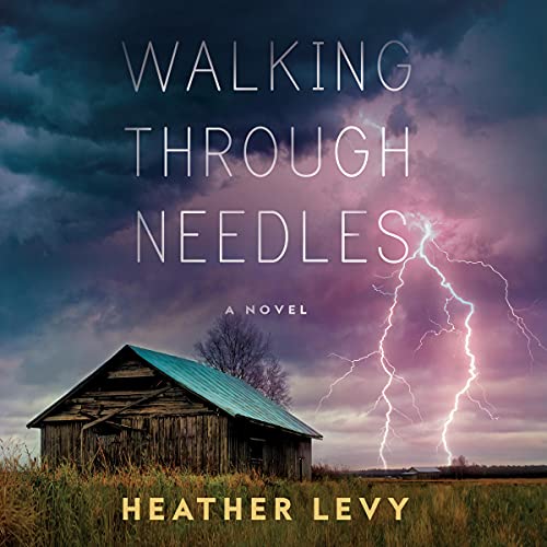 Cover of Walking Through Needles