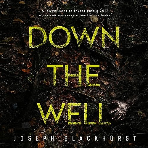 Cover of Down the Well