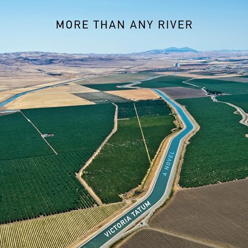 Cover of More than Any River