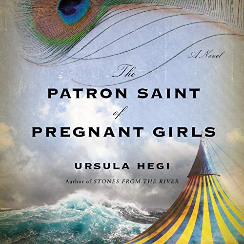 Cover of The Patron Saint of Pregnant Girls