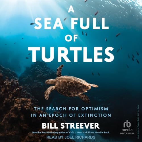 Cover of A Sea Full of Turtles