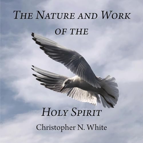 Cover of The Nature and Work of the Holy Spirit