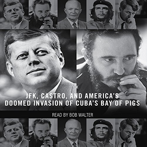 Cover of The Brilliant Disaster
