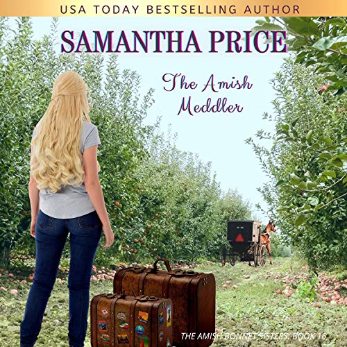 Cover of The Amish Meddler