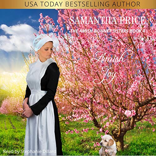 Cover of Amish Joy
