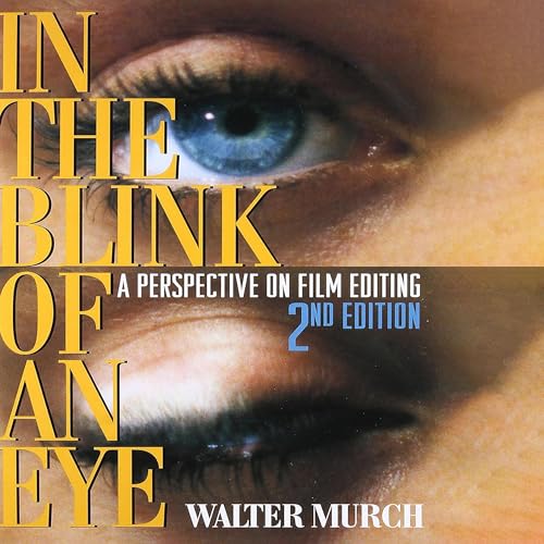 Cover of In the Blink of an Eye