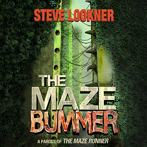 Cover of The Maze Bummer