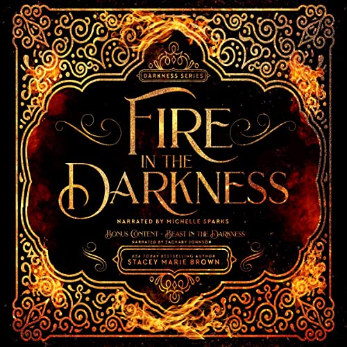 Cover of Fire in the Darkness