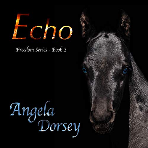 Cover of Echo